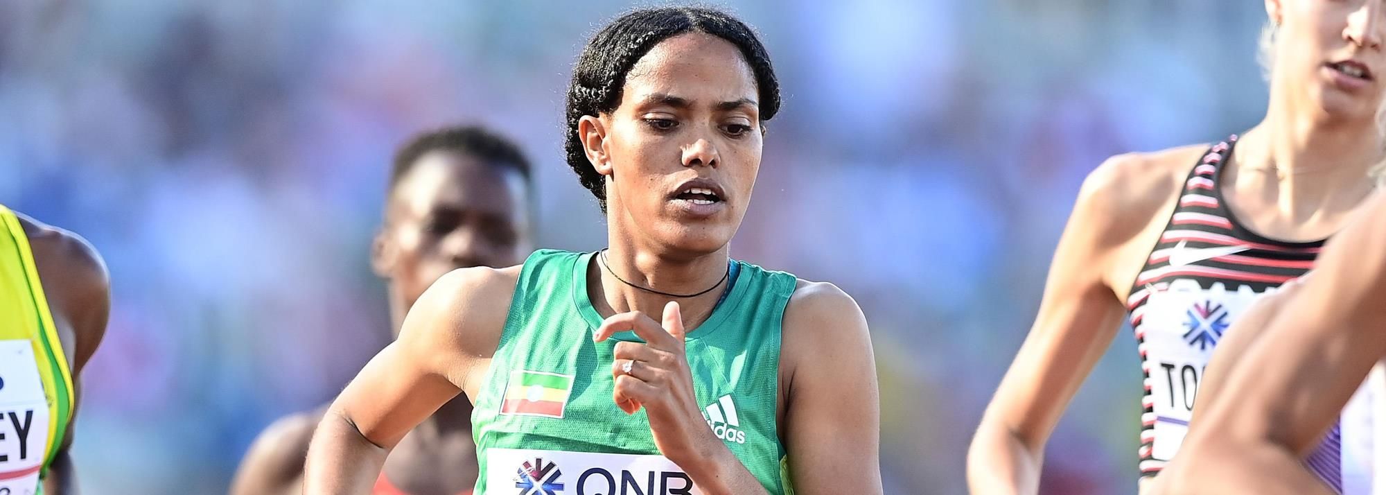 Freweyni HAILU Profile World Athletics