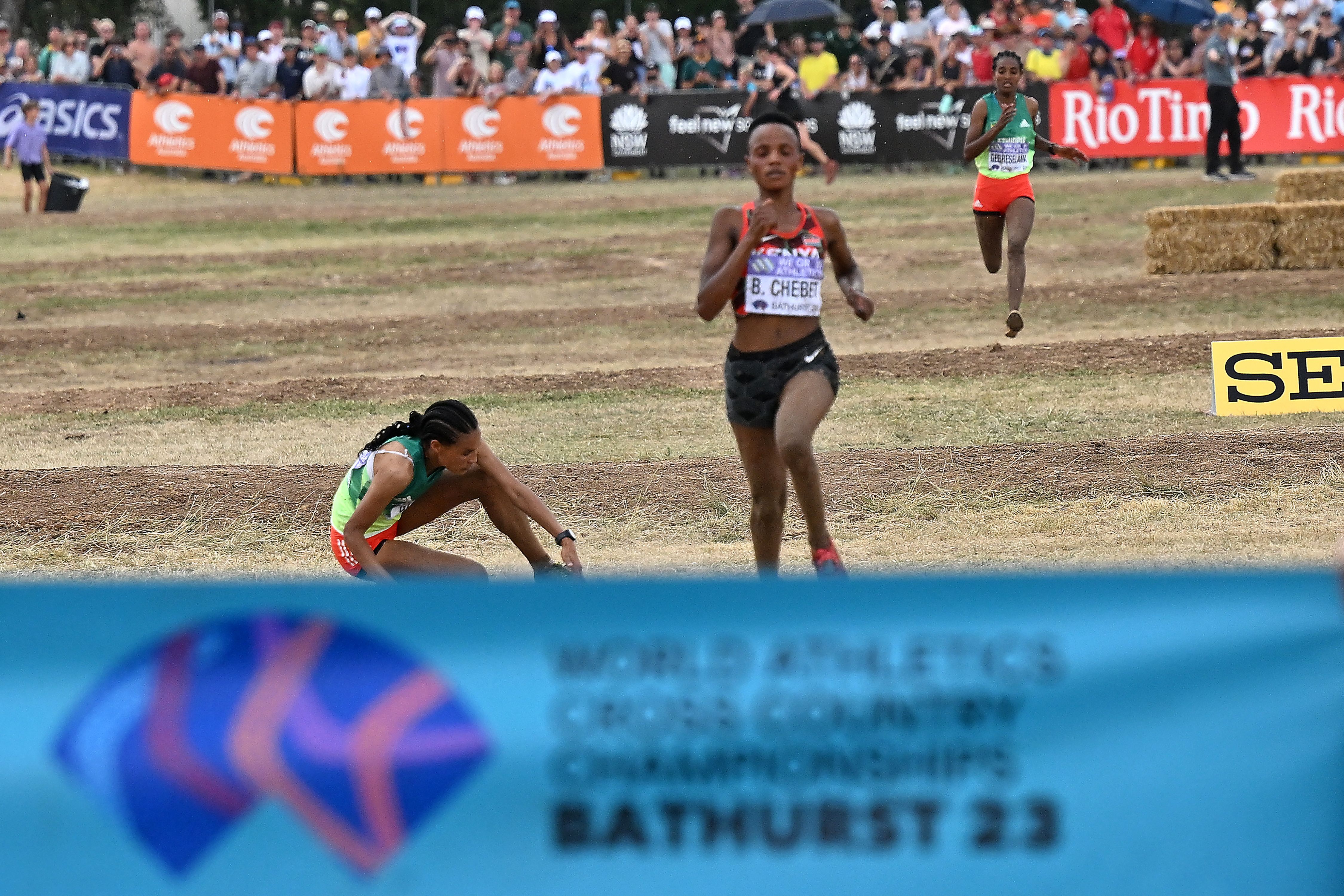 Beatrice Chebet overtakes a fallen Letensenbet Gidey to win the senior women's title