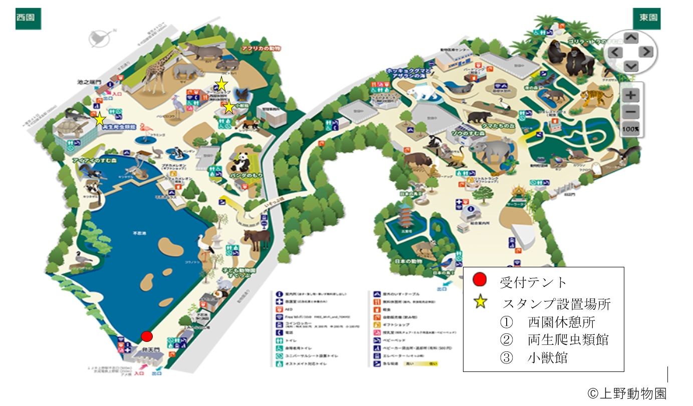 Uenozoo