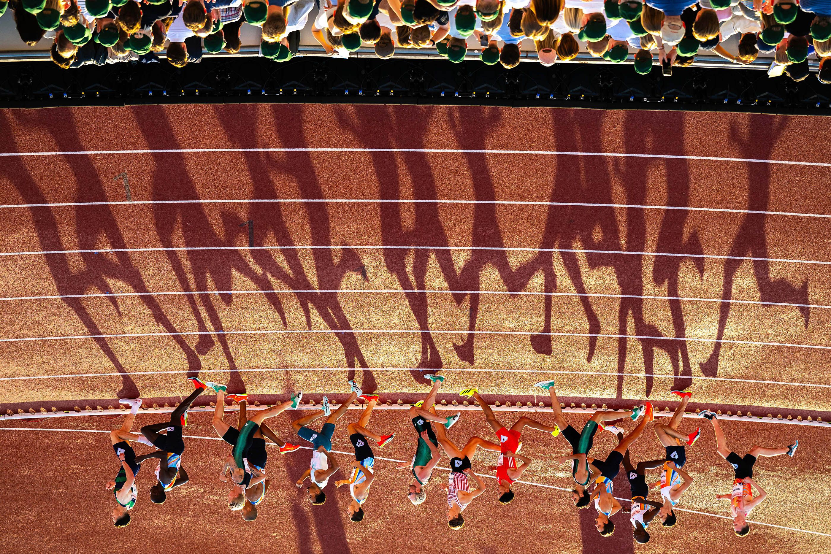 Photo of the Year finalist - Shadows