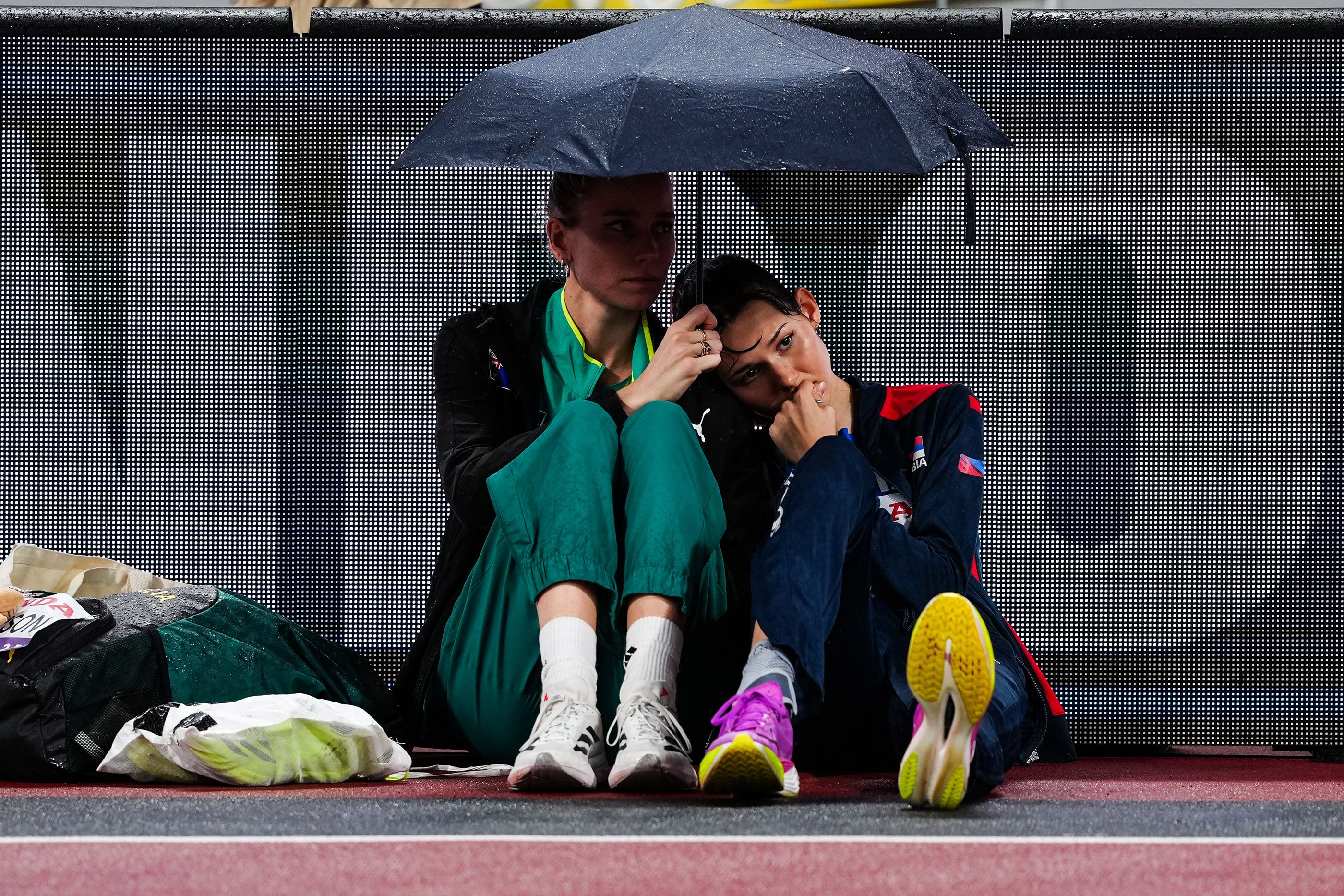 Photo of the Year exhibition - Friendship