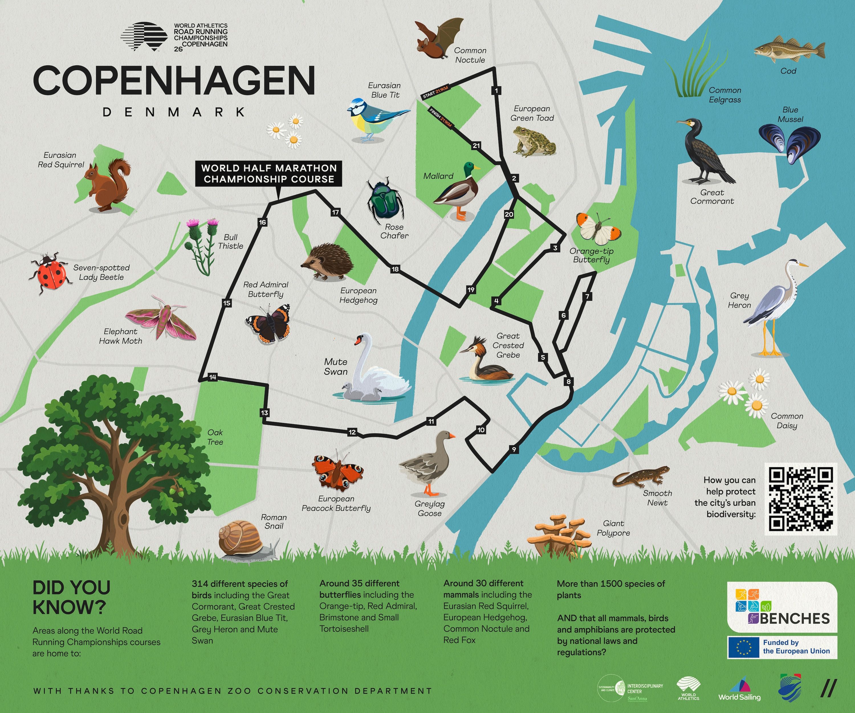 Copenhagen biodiversity map