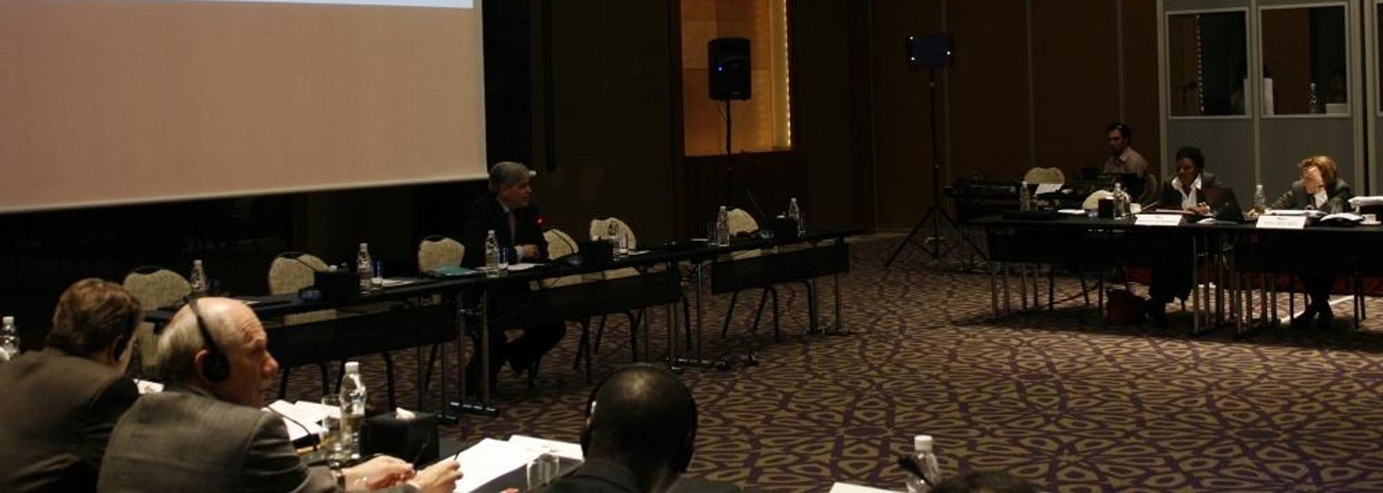 Meeting after the conclusion of a hugely successful edition of the World Indoor Championships, bids for upcoming IAAF events were announced as the IAAF Council began a two-day meeting at the Grand Hyatt Hotel in Doha, Qatar. <BR>