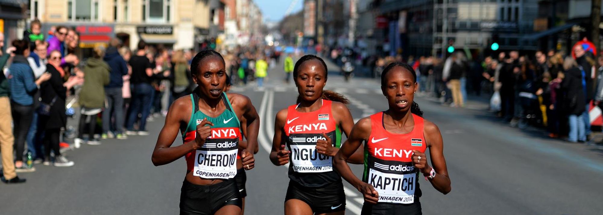 The image of all five of the Kenyan team running in a line at the front of the IAAF World Half Marathon Championships women's race, eyes front, arms pumping in unison, will remain in the memory of all who witnessed it on what was, in all senses, a glorious day for running in Copenhagen on Saturday (29).