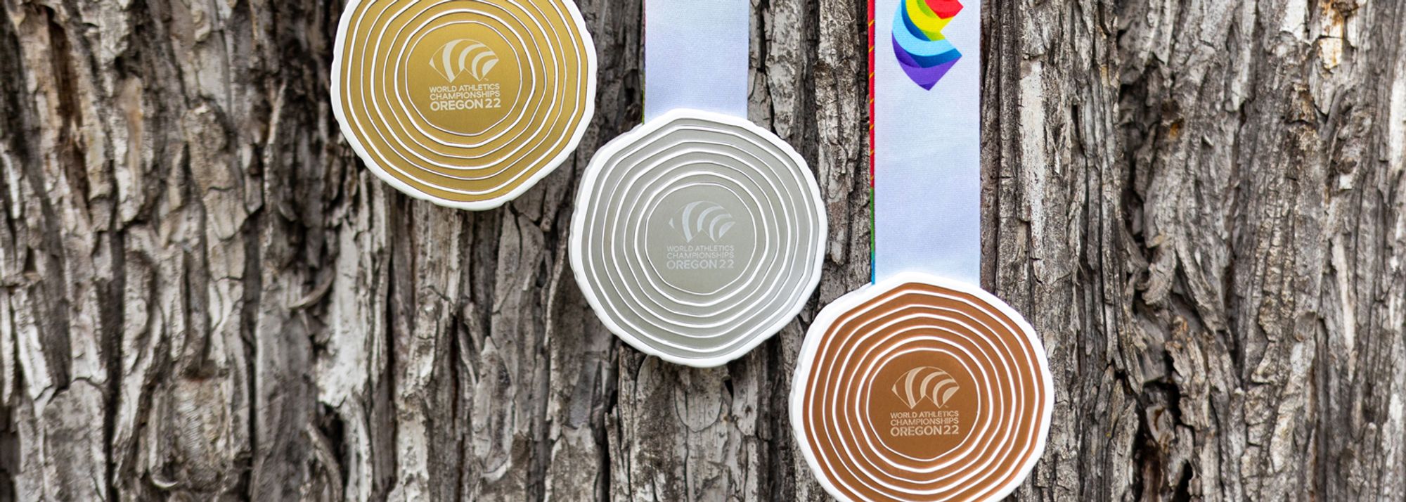 One side of the medals is inspired by the cross-section of a tree