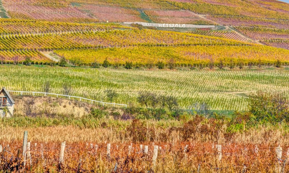 /competitions/world-athletics-championships/world-athletics-championships-budapest-2023-7138987/news/news/world-heritage-adventures-caves-rascals-and-the-liquid-gold