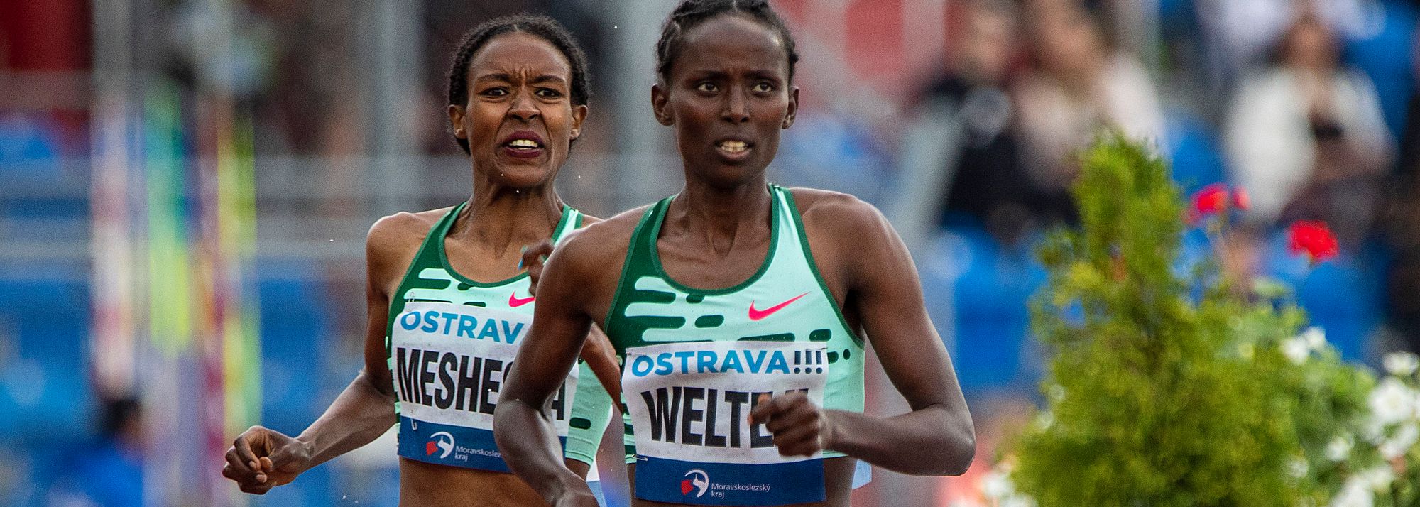 Diribe Welteji, Freweyni Hailu and Beatrice Chepkoech will form part of a strong women’s 1500m field when the ORLEN Copernicus Cup takes place in Torun
