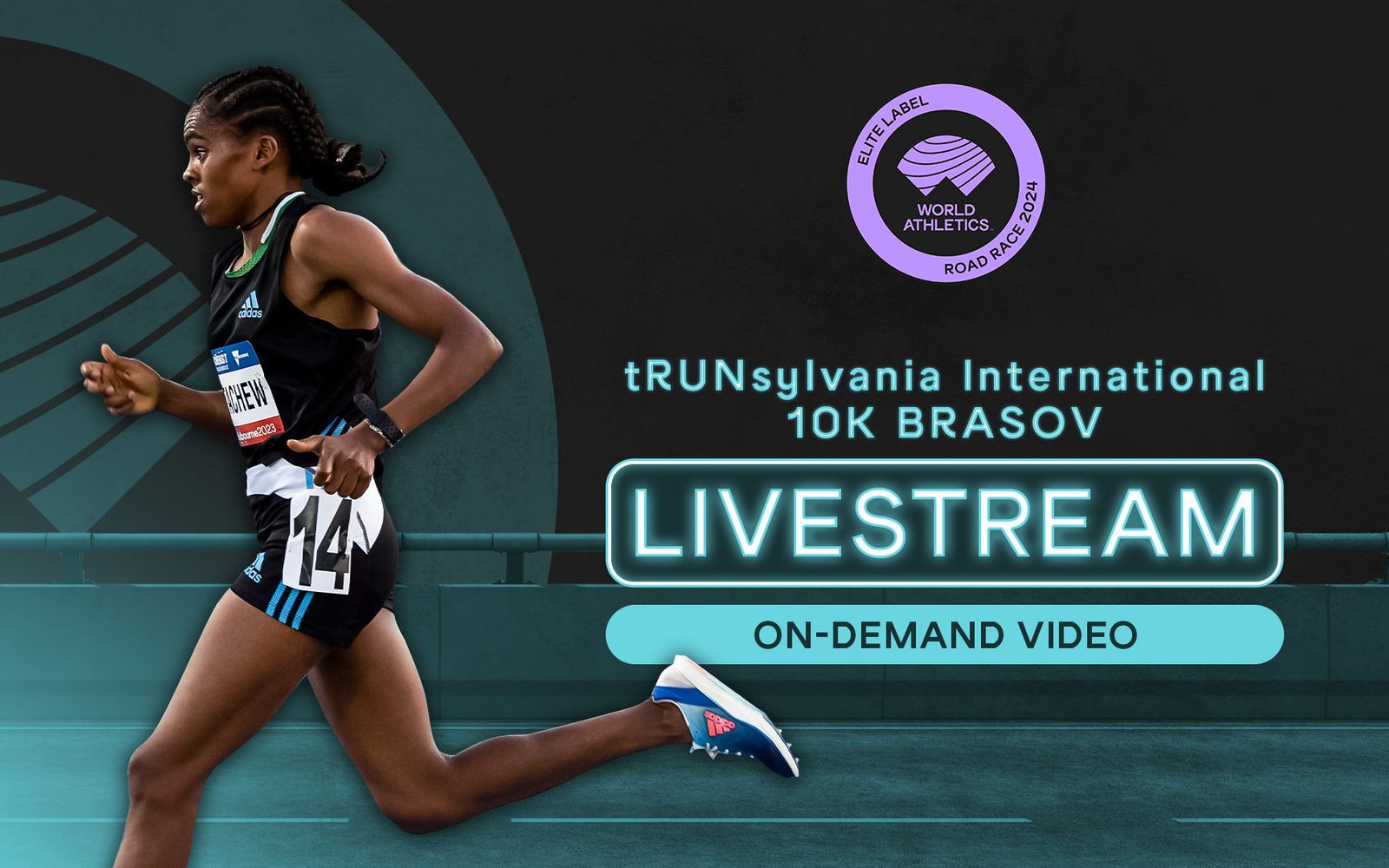 Brasov 10k on demand video