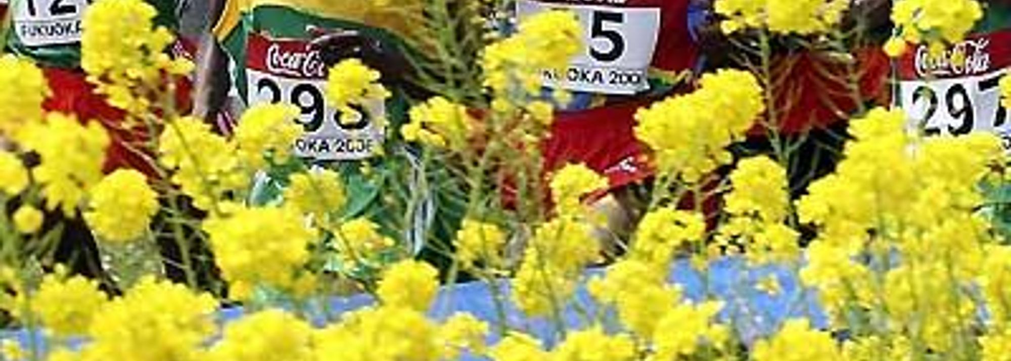 Five years after his older brother won the men's World Cross Country junior race in Ostend, Tariku Bekele arrived in Fukuoka looking for a championship of his own. Where Kenenisa had been a family trailblazer, with only his own results to speak for him (including a silver in the 2001 short race before winning the junior race,) Tariku bore the expectations that come with a heavy name.