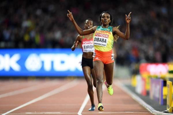 More Sports Memorabilia Tirunesh Dibaba Signed Ethiopia Rfeie