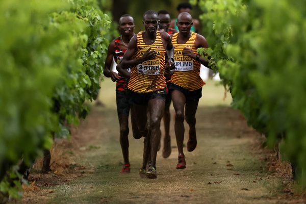 WXC Belgrade 24 Entry Lists Now Available for Viewing | Latest News from Belgrade 24