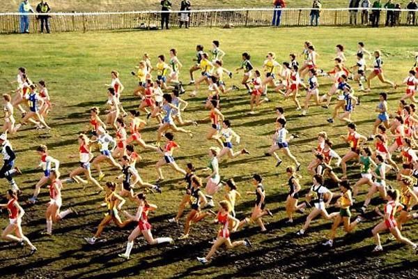 Japanese World Xc Selection Firms Up Over Power And Camel Hills Fukuoka Cross Country News World Athletics