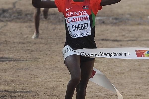 Chebet turns back the clock to win again – Bydgoszcz 2013 senior women ...