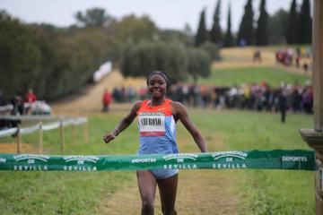 pointers-from-the-2013-iaaf-cross-country-per