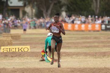 world-cross-tallahassee-26-senior-womens-preview