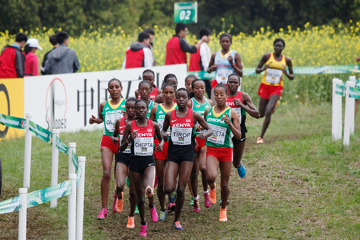 one-month-to-go-world-cross-country-champions